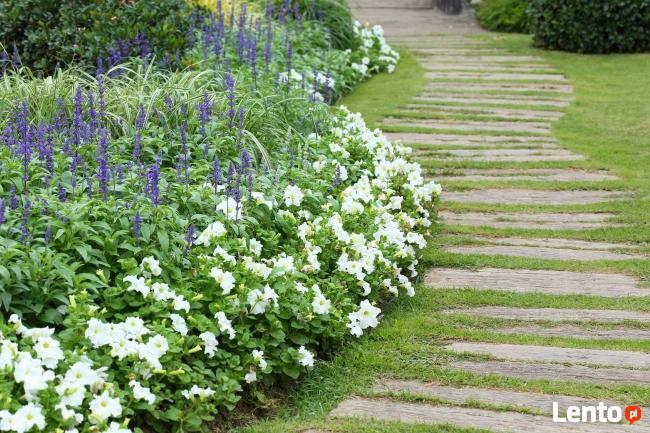 Projekty Wnętrz i Ogrodów