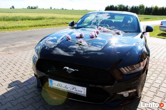 Czarny Mustang do Ślubu!