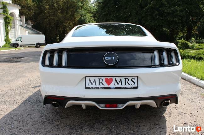 Archiwalne Biały Mustang do Ślubu GT! Najnowszy model