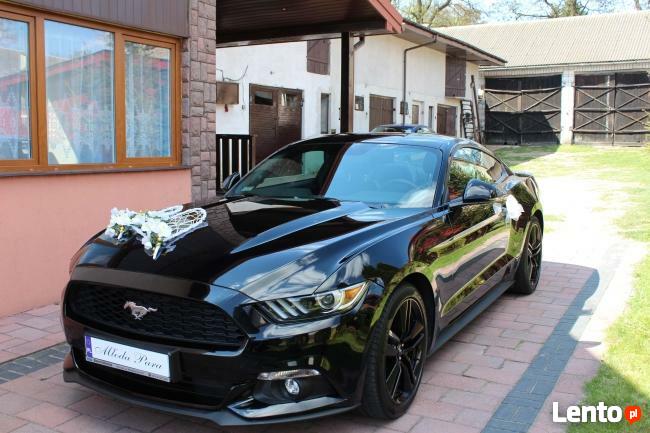 Archiwalne Samochód do Ślubu Czarny Mustang!