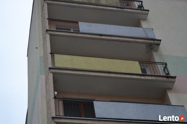 Odstraszanie gołębi, ochrona przed gołębiami