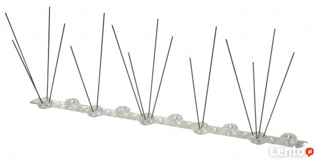 Odstraszanie gołębi, zabezpieczenia przed ptakami