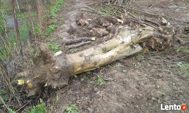 Koszenie, grabienie;wszelkich terenów-Karczowanie !!!!!