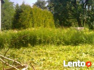 Koszenie, grabienie;wszelkich terenów-Karczowanie !!!!!