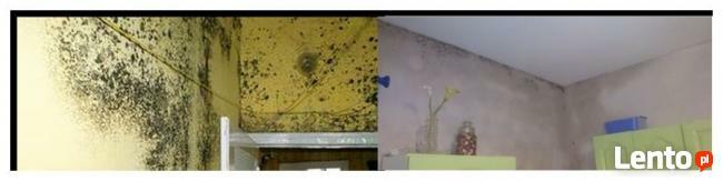 SPRZĄTANIE;strychów, komórek, piwnic, garaży, boaze