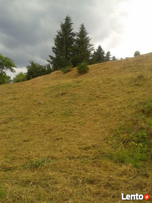 Koszenie, grabienie;wszelkich terenów-Karczowanie !!!!!