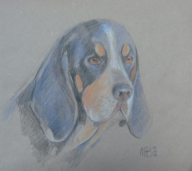 PORTRET PUPILA wg.zdjęcia