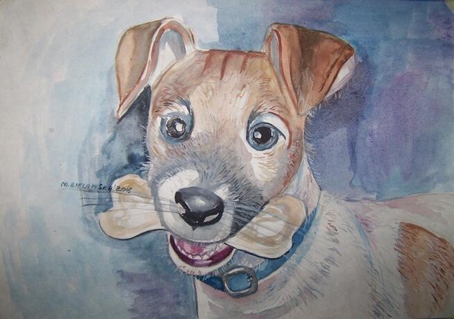 PORTRET PUPILA wg.zdjęcia