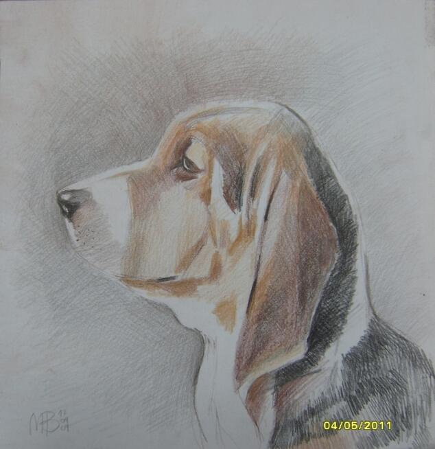 PORTRET PUPILA wg.zdjęcia