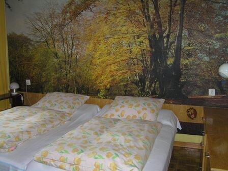 Ustroń Zawodzie -pokoje goscinne