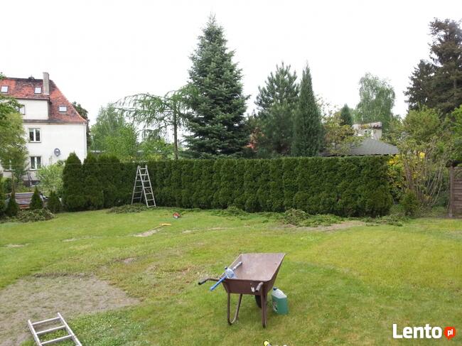 Wykaszanie terenów zielonych