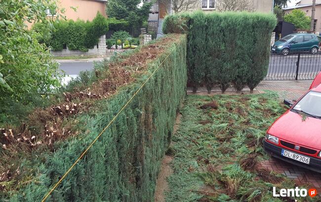 Wykaszanie terenów zielonych