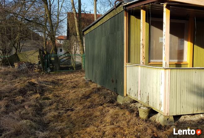 Wykaszanie terenów zielonych