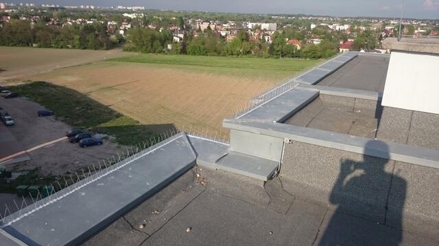 Montaż kolcy na gołębie Poznań , Komorniki, Puszczykowo