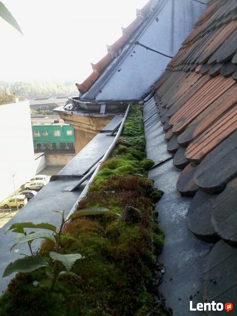 Wycinka drzew , rębak Komorniki, Puszczykowo, Mosina, Wiry