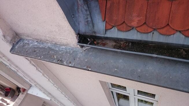 Montaż kolcy na gołębie Poznań , Komorniki, Puszczykowo