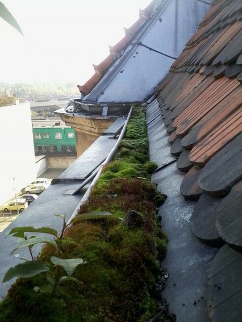 Czyszczenie rynien Poznań Komorniki, Wiry , Puszczykowo