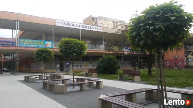 Lektor języka angielskiego