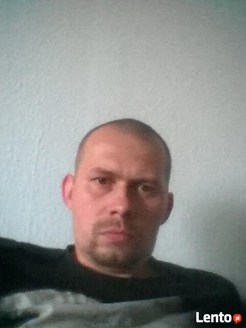 szukam pracy