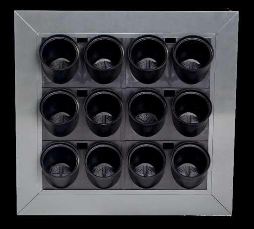 Ogród wertykalny wiszący Zielona ściana Model G5