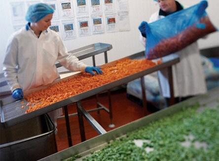 Wdrożenia, szkolenia BRC & IFS Food