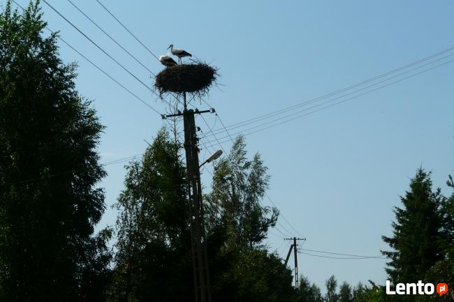 DZIAŁKA NAD JEZIOREM ORZYSZ (Z LINIĄ BRZEGOWĄ)