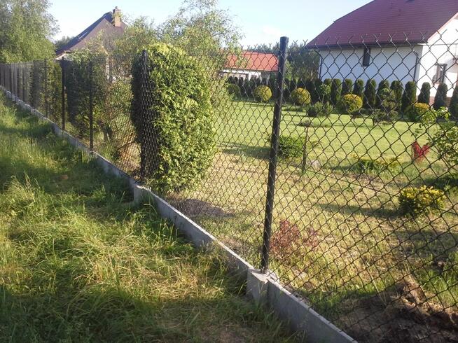 Siatka ogrodzeniowa 2,8 ocynk 65x65