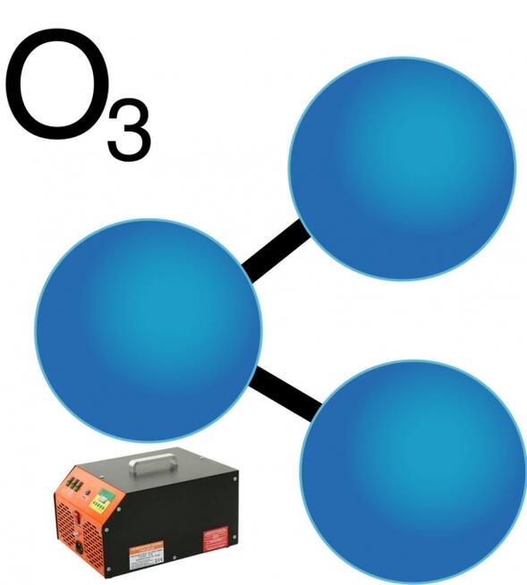 Czyszczenie/Pranie: Tapicerki Meblowej, Wykładzin, Dywanów