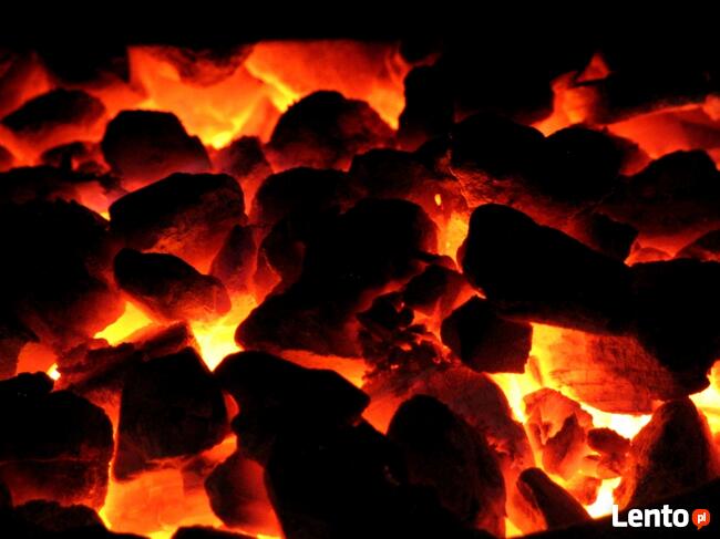 ORZECH II KWK SILESIA 1 TONA LUZ ŚLĄSK WĘGIEL