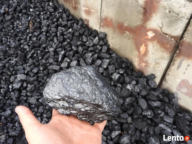 ORZECH KWK JANKOWICE 1 TONA LUZ ŚLĄSK