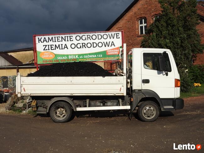 ORZECH II KWK SILESIA 1 TONA LUZ ŚLĄSK WĘGIEL