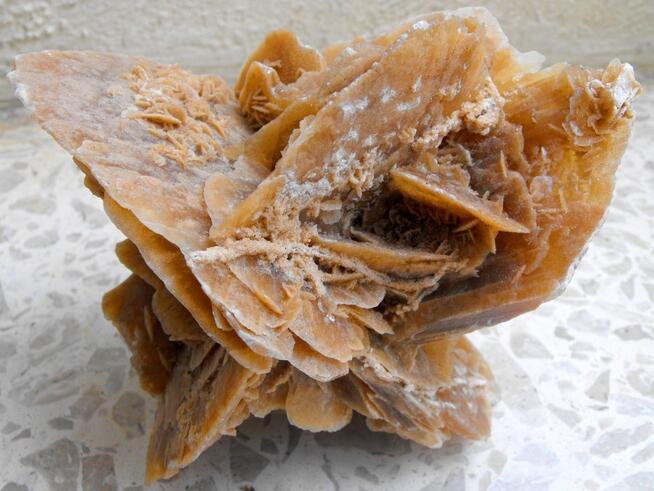 Akwarium, oczka wodne Kamień kwiat RÓŻA PUSTYNI