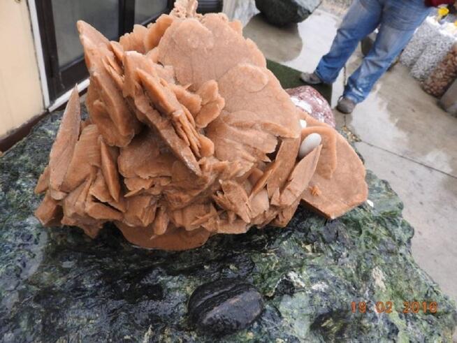 Akwarium, oczka wodne Kamień kwiat RÓŻA PUSTYNI