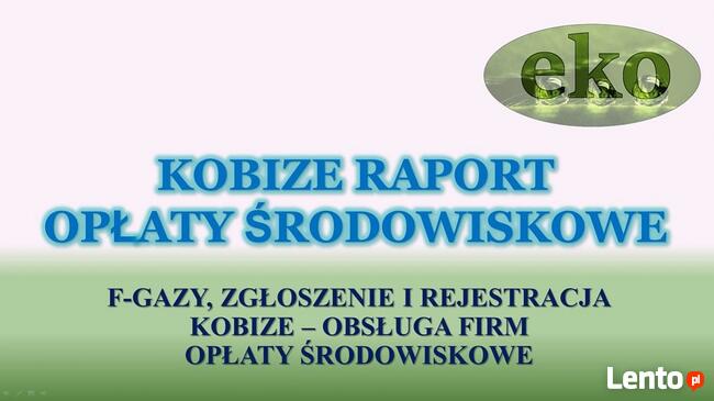 Fgazy, zgłoszenie, rejestracja, tel. 502-032-782. Gdańsk