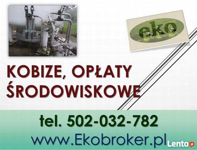 Wprowadzenie raportu, Kobize, cena tel, 502-032-782, Gdańsk