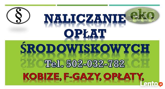 Założenie konta w bazie Kobize, cena tel. 502-032-782