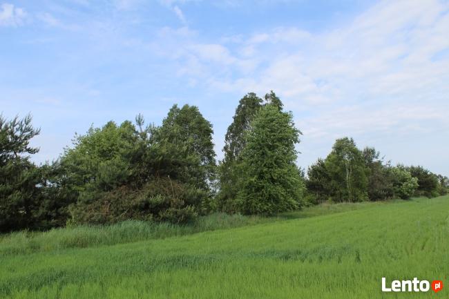 Działka rekreacyjna - Jankowice