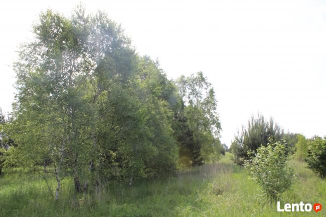 Działka rekreacyjna - Jankowice