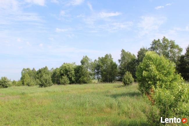 Działka rekreacyjna - Jankowice