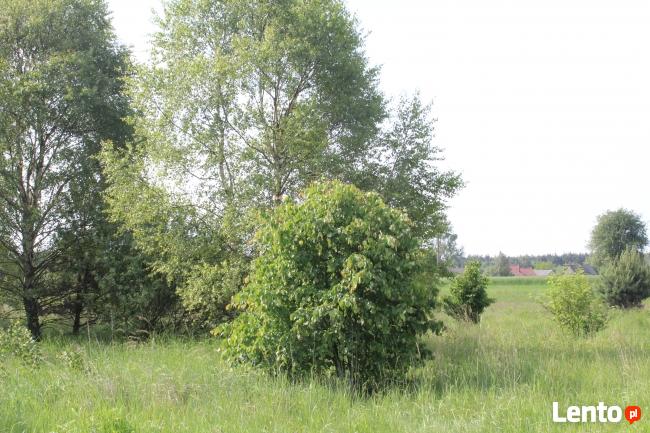 Działka rekreacyjna - Jankowice