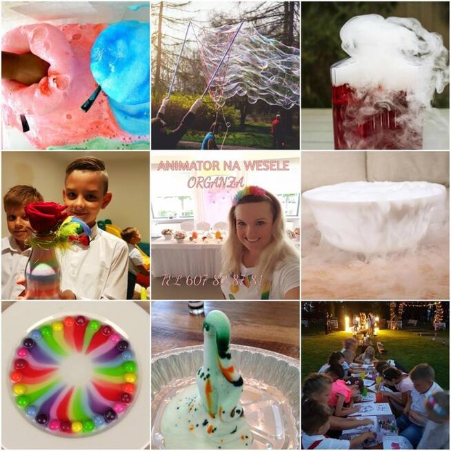 ANIMATOR NA WESELE animacje na weselu Animatorka dla dzieci