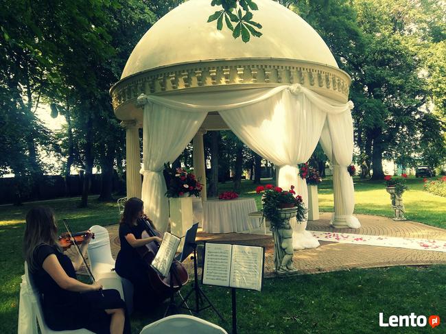 Amoroso Oprawa Muzyczna Ślubu