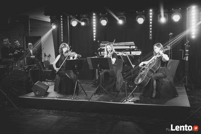 Amoroso Oprawa Muzyczna Ślubu