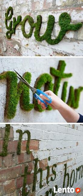 Obrazy z mchu, logo firmy, ściany z mchu. Profesjonalnie.