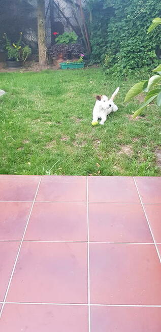 Poznam Kobiete w kazdym wieku