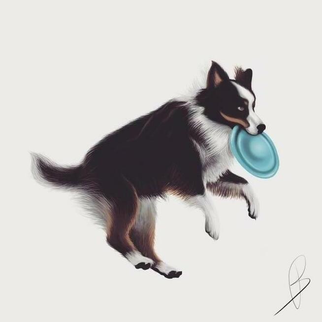 OKLEJANIE SAMOCHODÓW - STRONY INTERNETOWE - REKLAMA