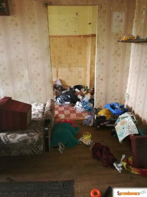 SPRZĄTANIE PIWNIC w Krakowe , opróznianie całych mieszkań