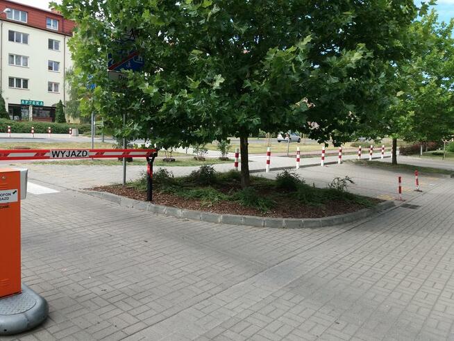 usugi ogrodniczo porządkowe