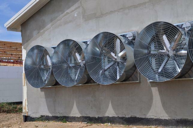 system chłodzący pad cooling obiekty inwentarskie