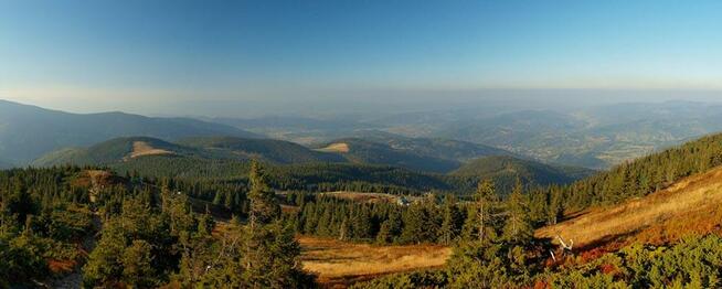 Bushcraft,Survival,Trekking-Organizacja wypraw-Beskidy.